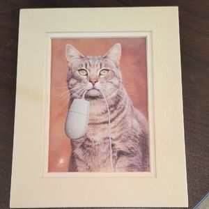 Cat Photo With Computer Mouse